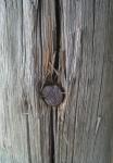 Nail In Wooden Post