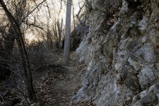 Narrow Rocky Hiking Path