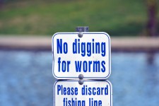 No Digging For Worms Sign