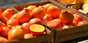 Oranges For Sale