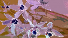 Painted Orchids Background
