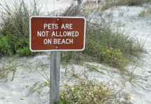 Pets Are Not Allowed Are Beach