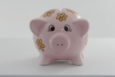 Pink Pig Piggy Bank