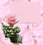 Pink Rose Invitation Blank