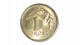 Polish One Grosz Coin Head