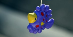Purple Fish Toy