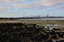 Seashore And City Skyline