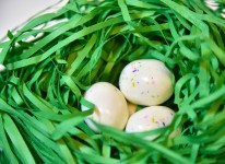Speckled Eggs In Green Grass Basket