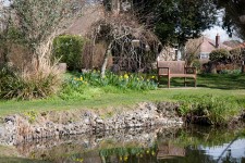 Spring Garden With Pond