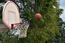 The Basketball Shot