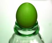 The Green Egg