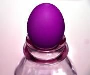 The Purple Egg