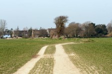 Track Through The Countryside