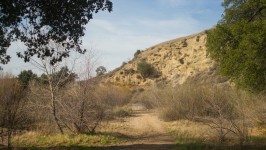 Trail Through California Wilderness