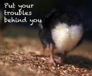 Troubles Behind You Quote
