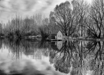 Water Mill Bw