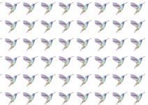 Watercolor Hummingbird Paper