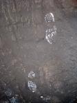 White Footsteps On Wet Surface