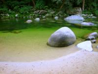 Zen Garden In The Rain Forest