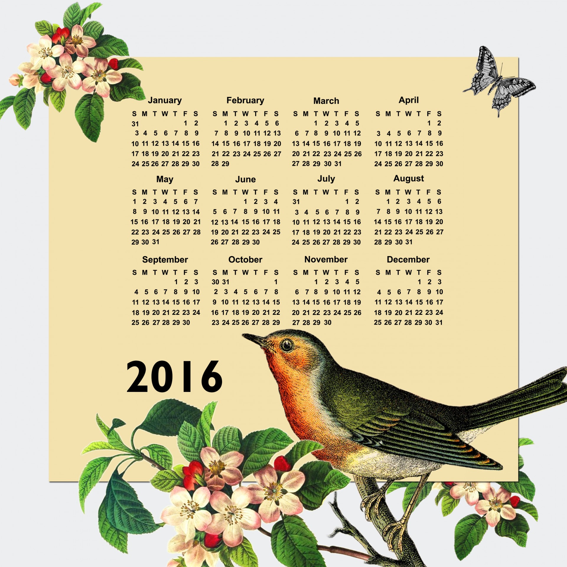 2016 Calendar Vintage Bird