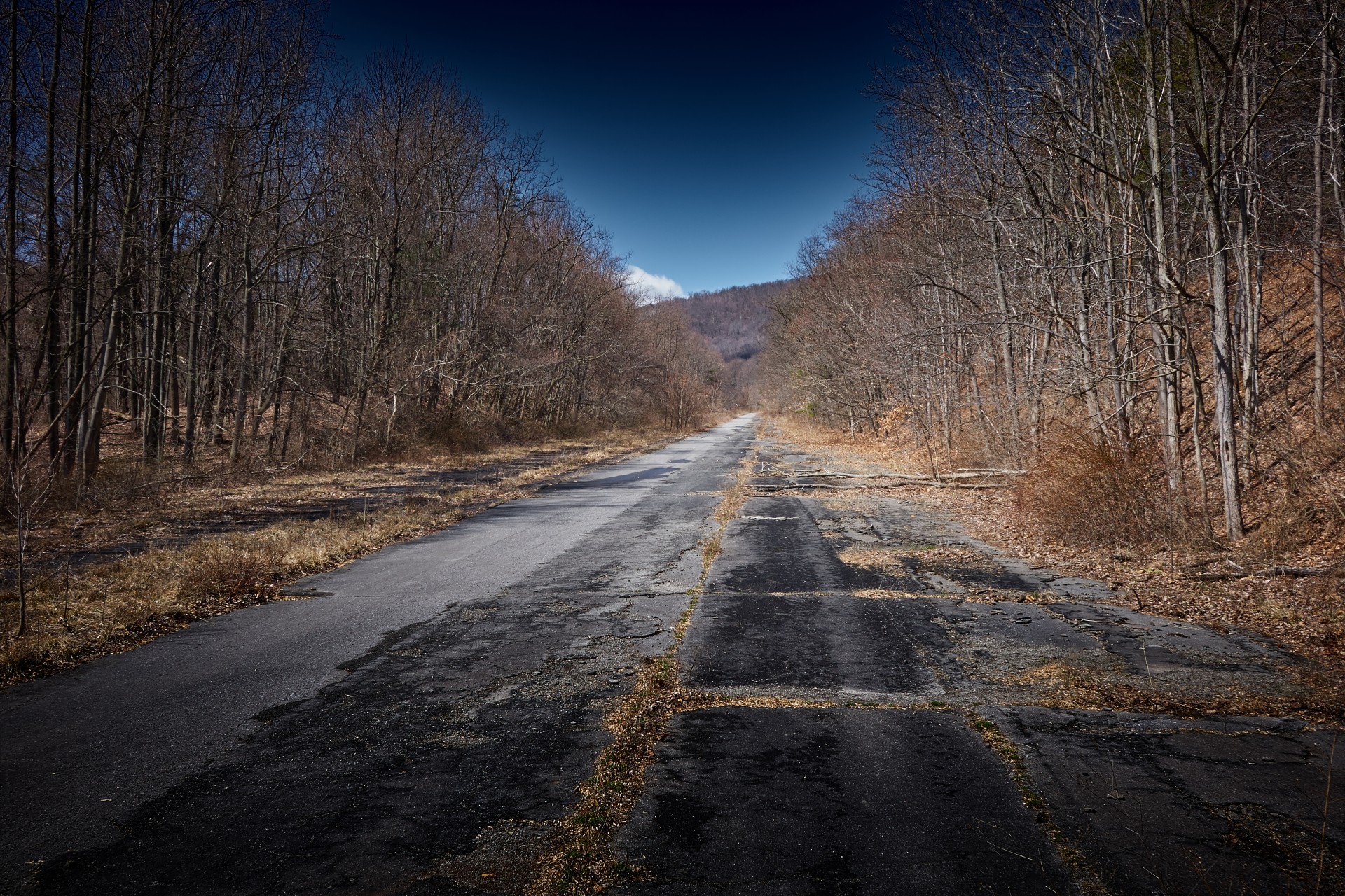Abandoned Road