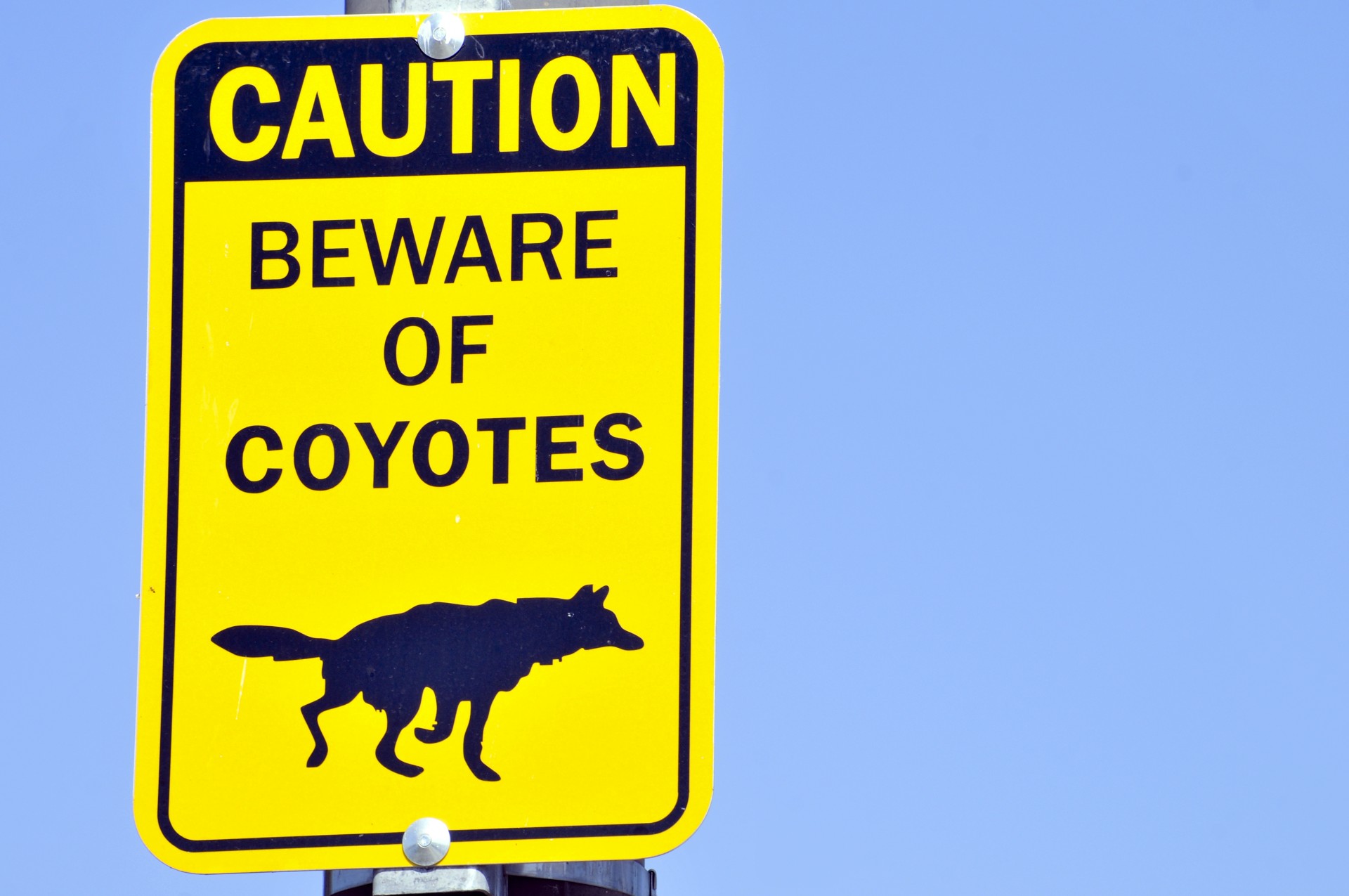 Beware Of Coyotes Sign