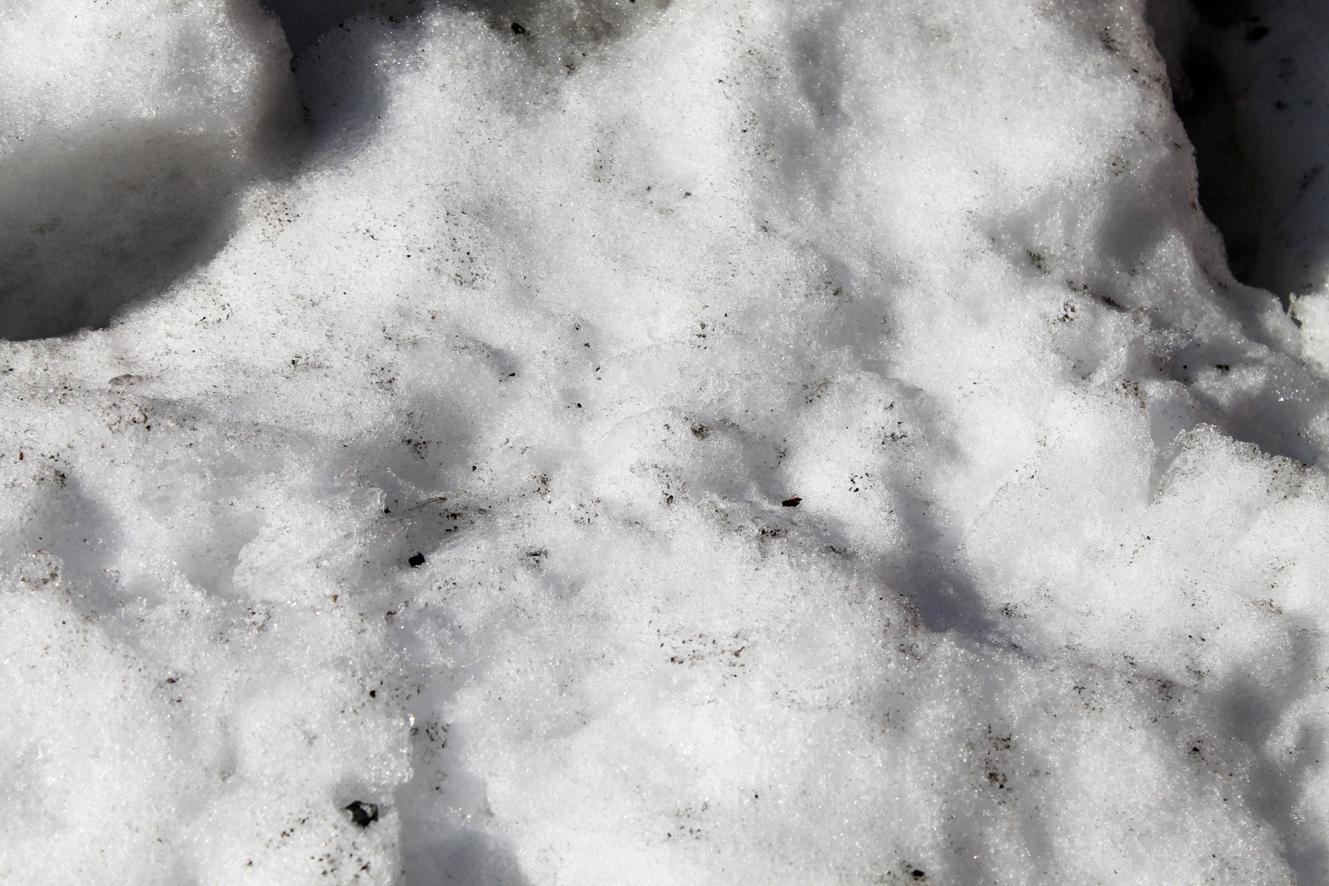 Dirty Snow Background - 03 - I really appreciate your premium download!