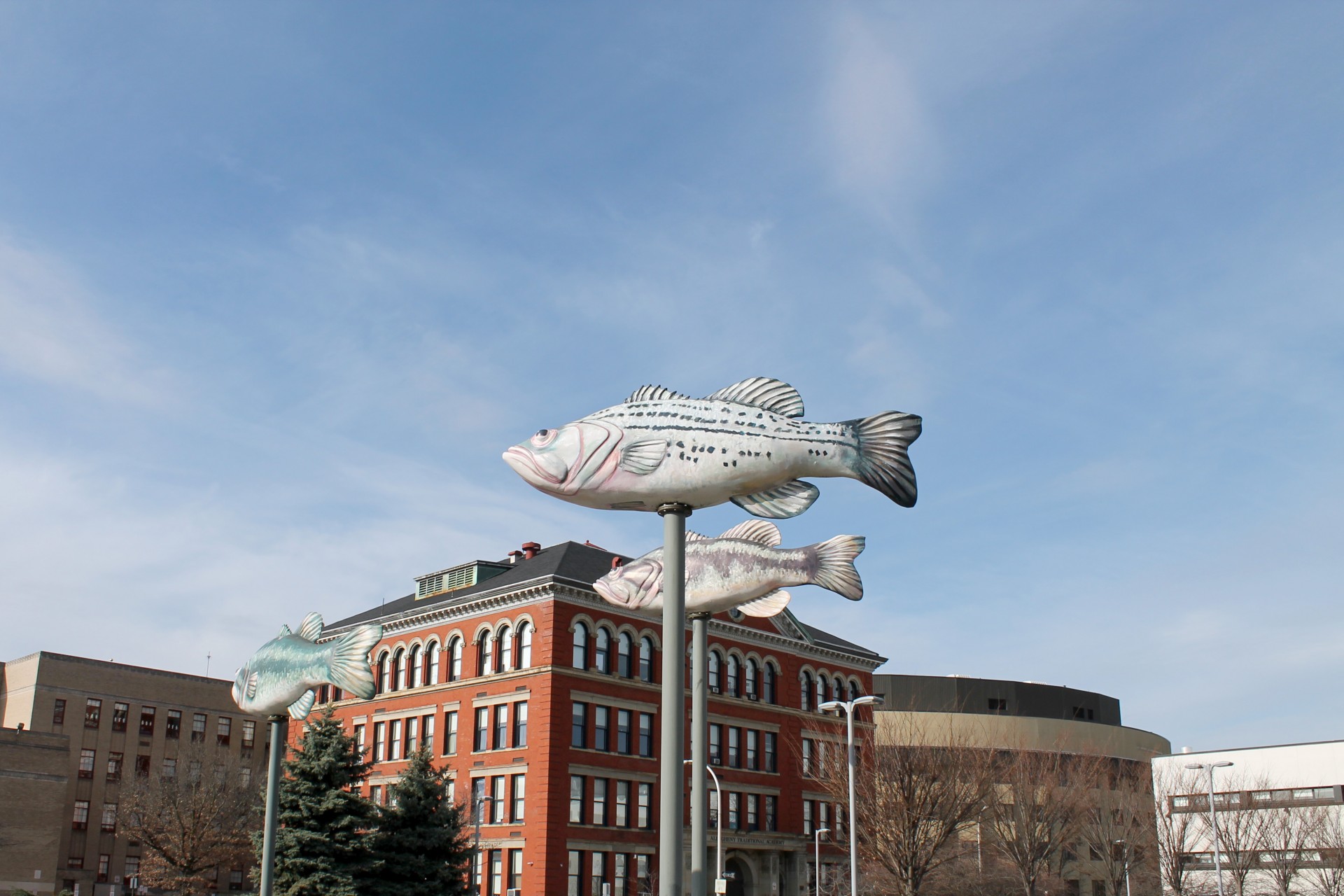 Fish Sculpture - Far