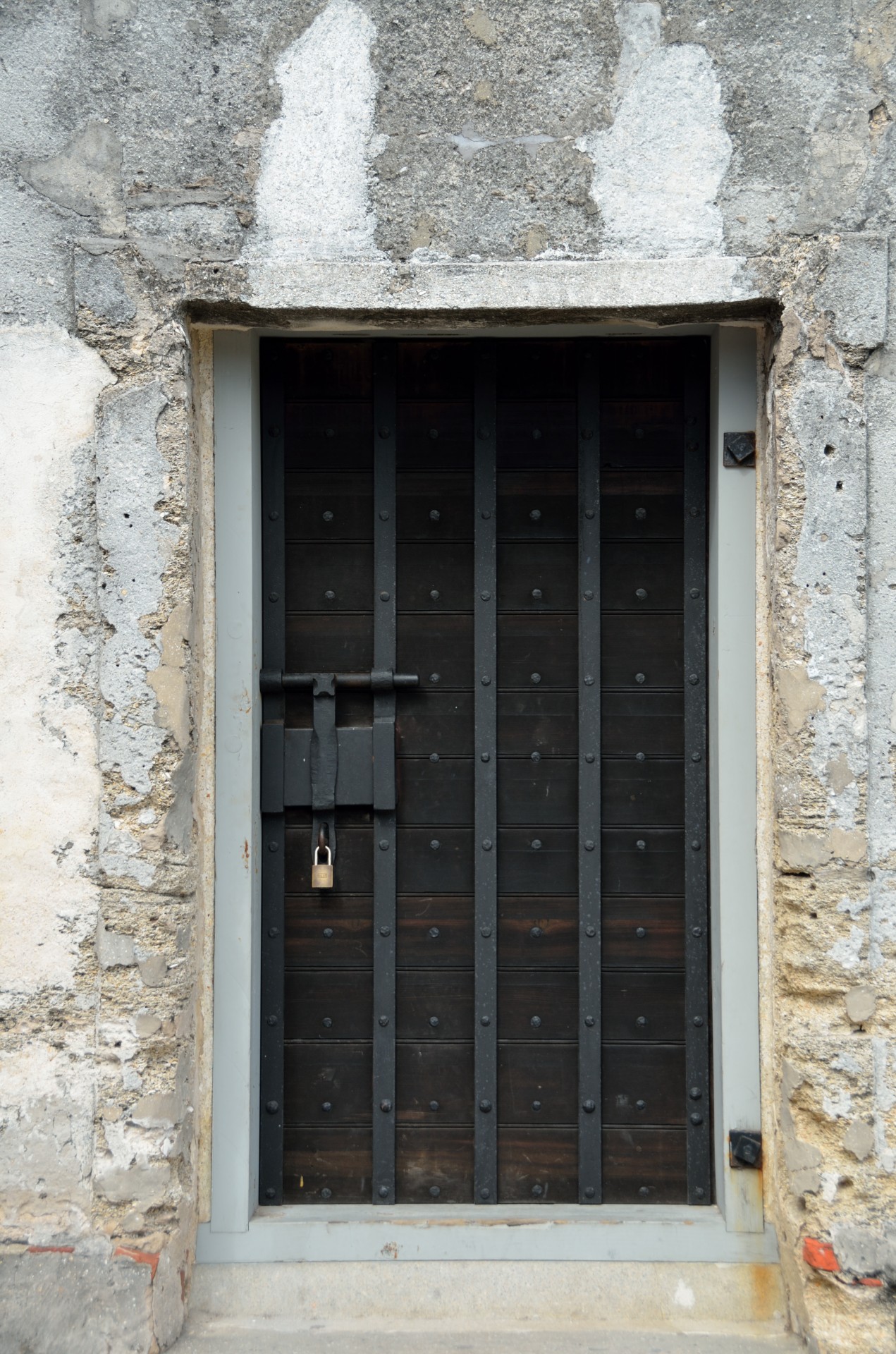 Fortress Door