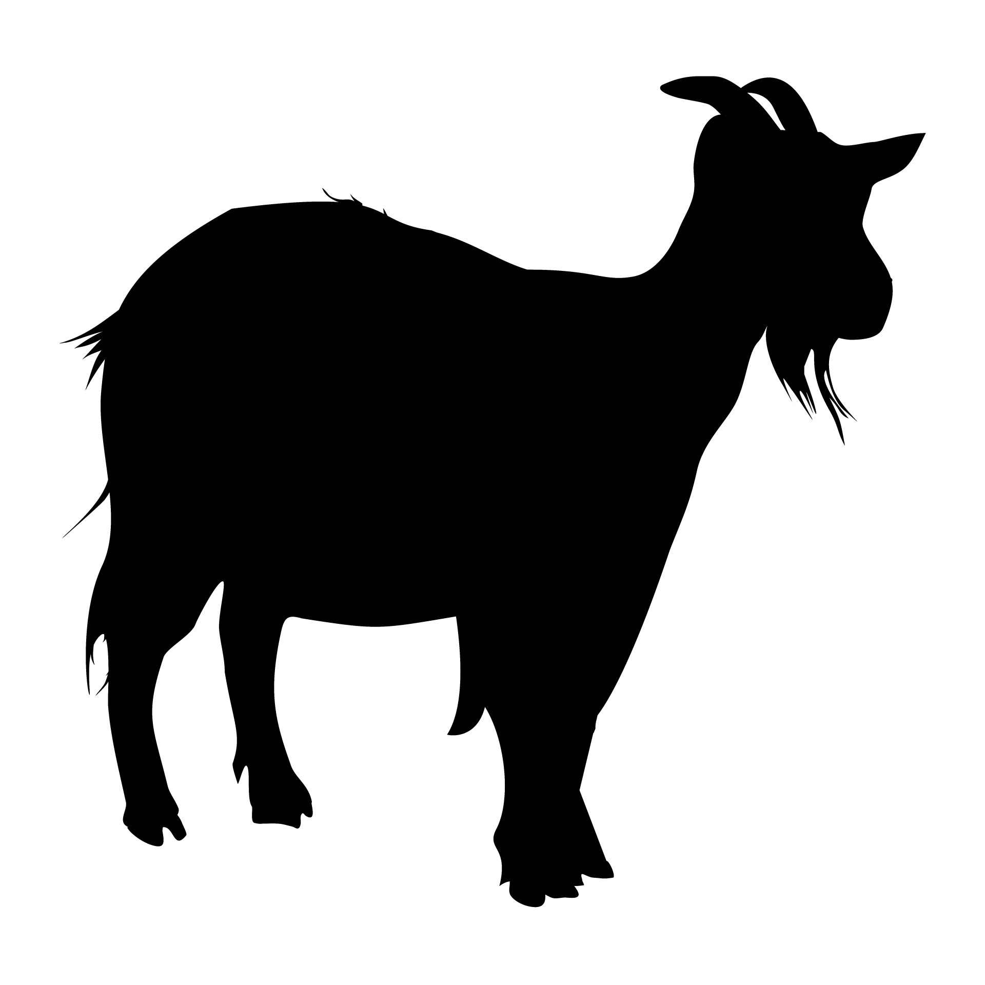 silhouette of a goat on white