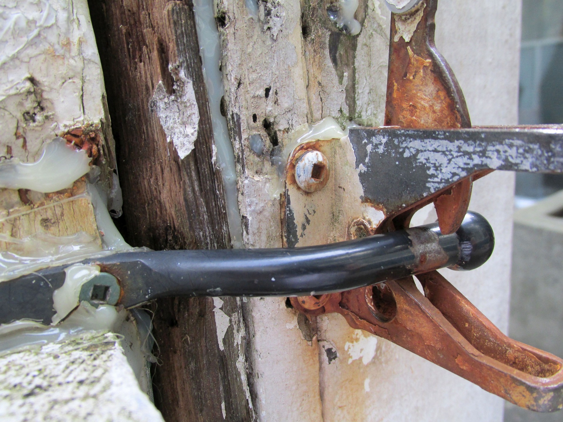 old metal lock in my backyard gate