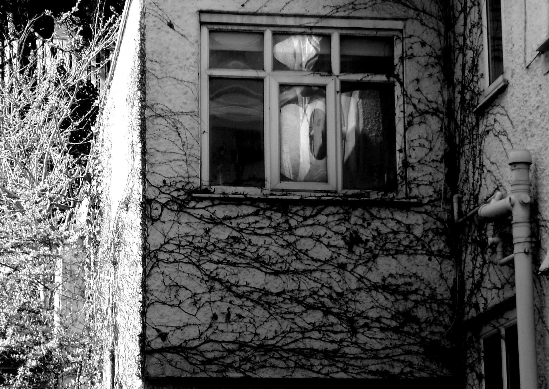 Old Scary Creepy House