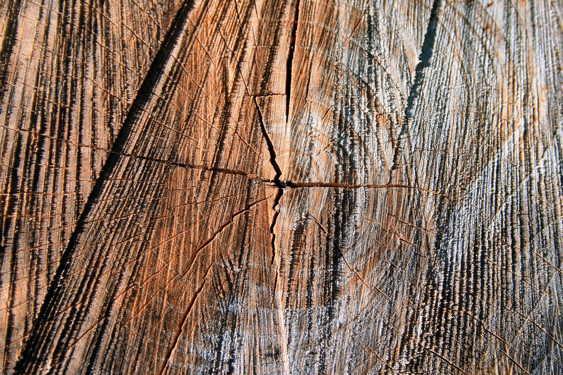 Piece Of Cut Wood