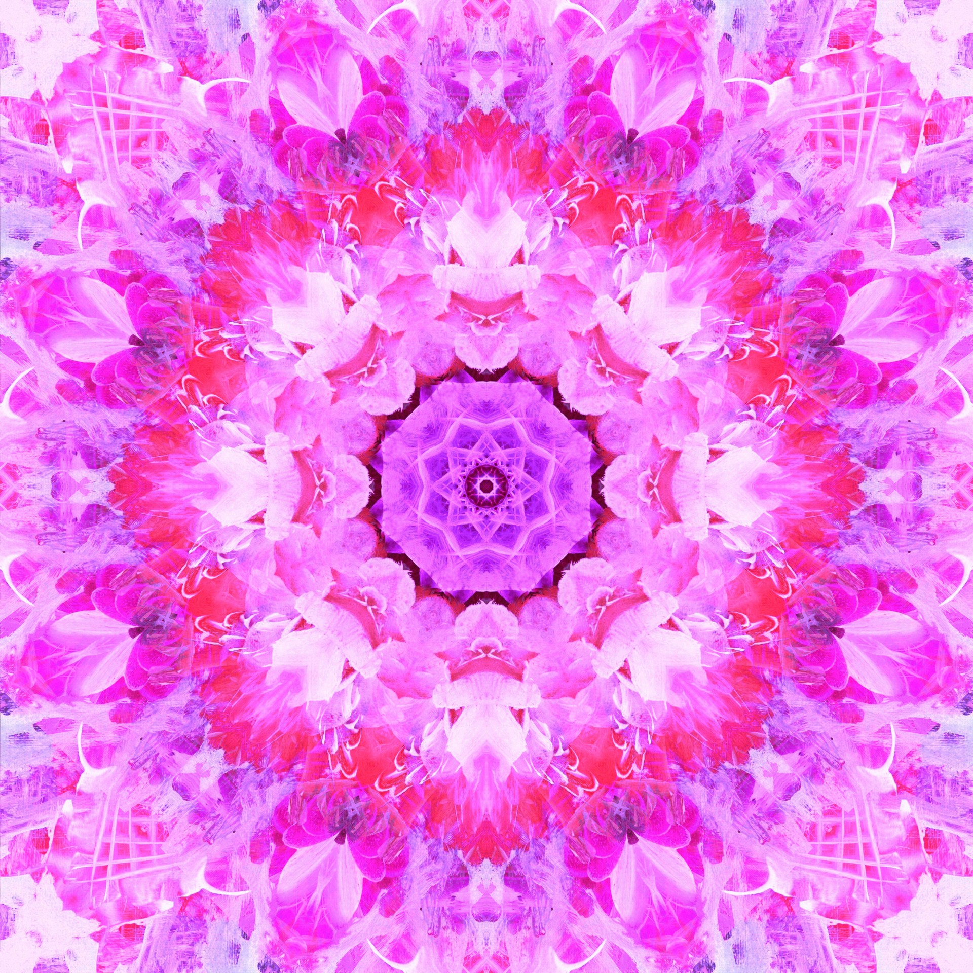 Pink Abstract Floral Background Free Stock Photo Public Domain Pictures