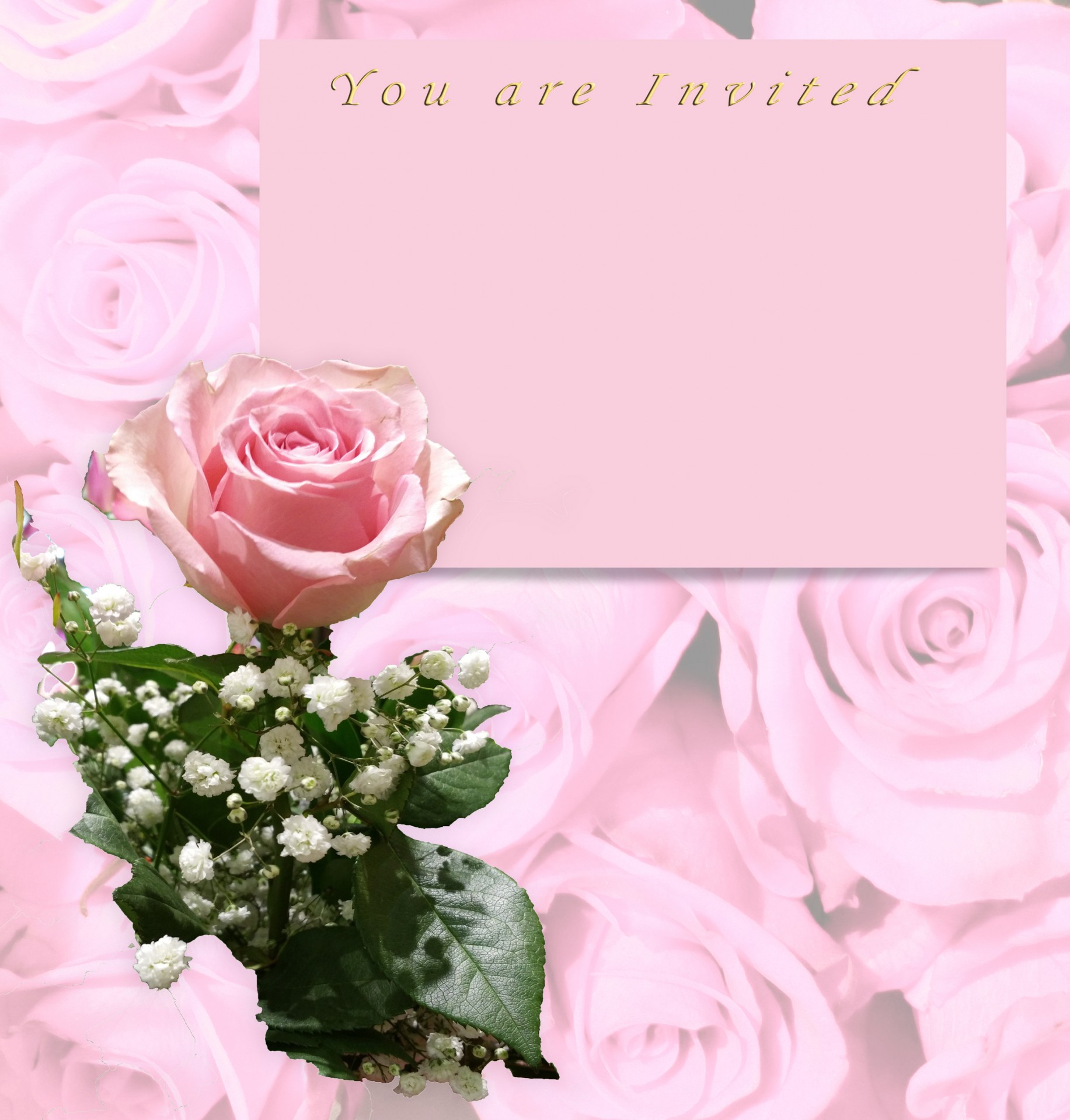 Pink Rose Invitation