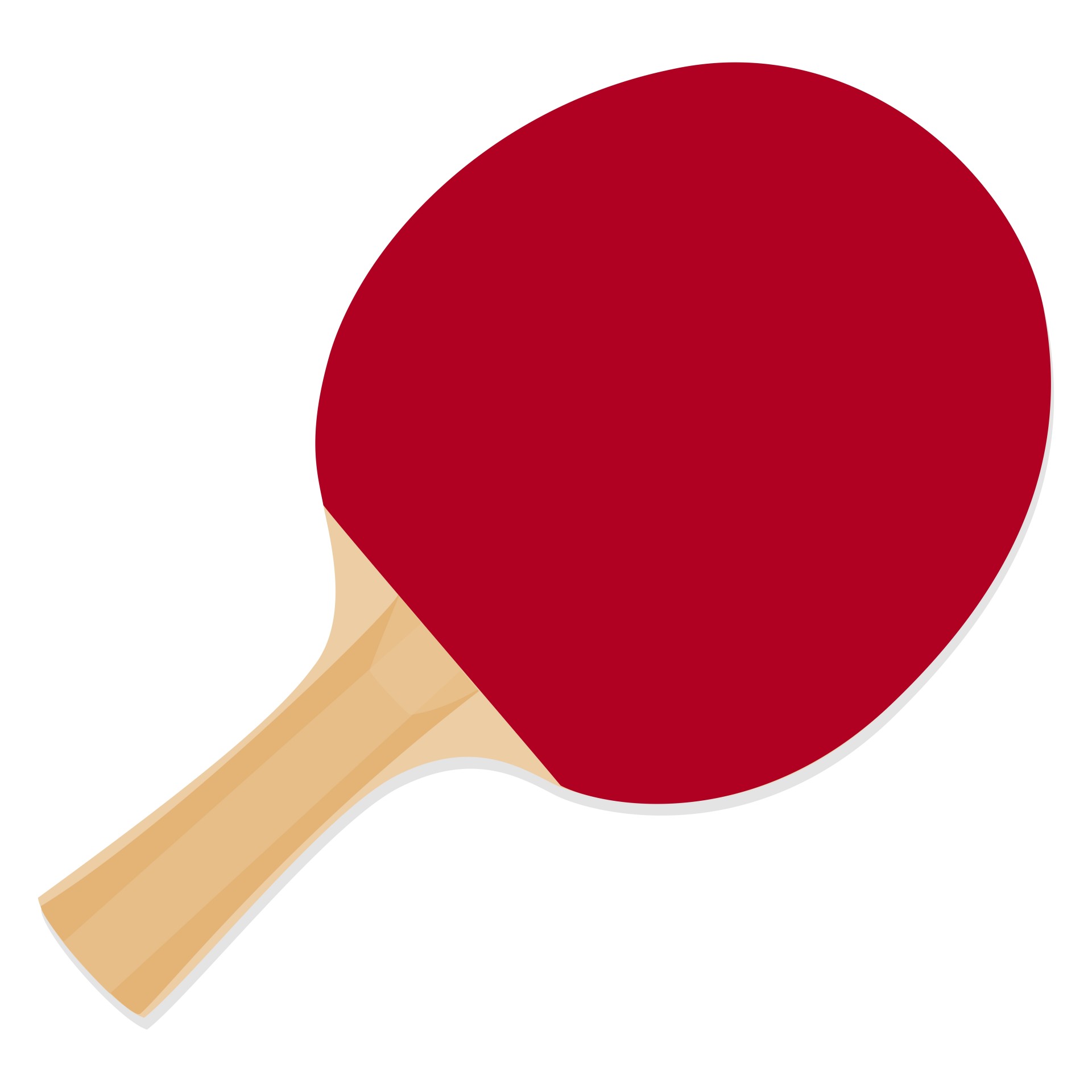 Racket For Playing Table Tennis