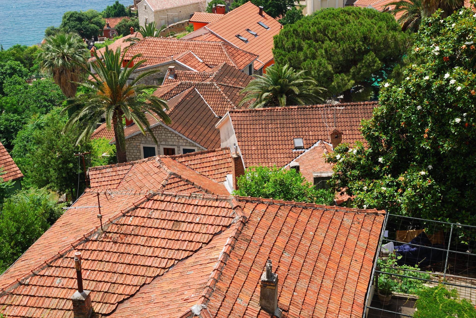Red Roofs Of Herceg Novi