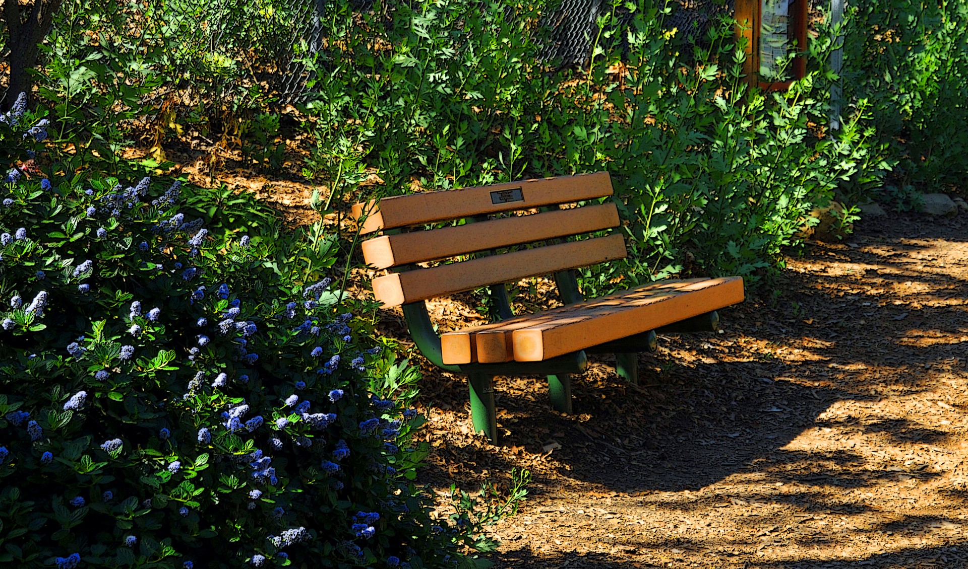 shady-seat-free-stock-photo-public-domain-pictures