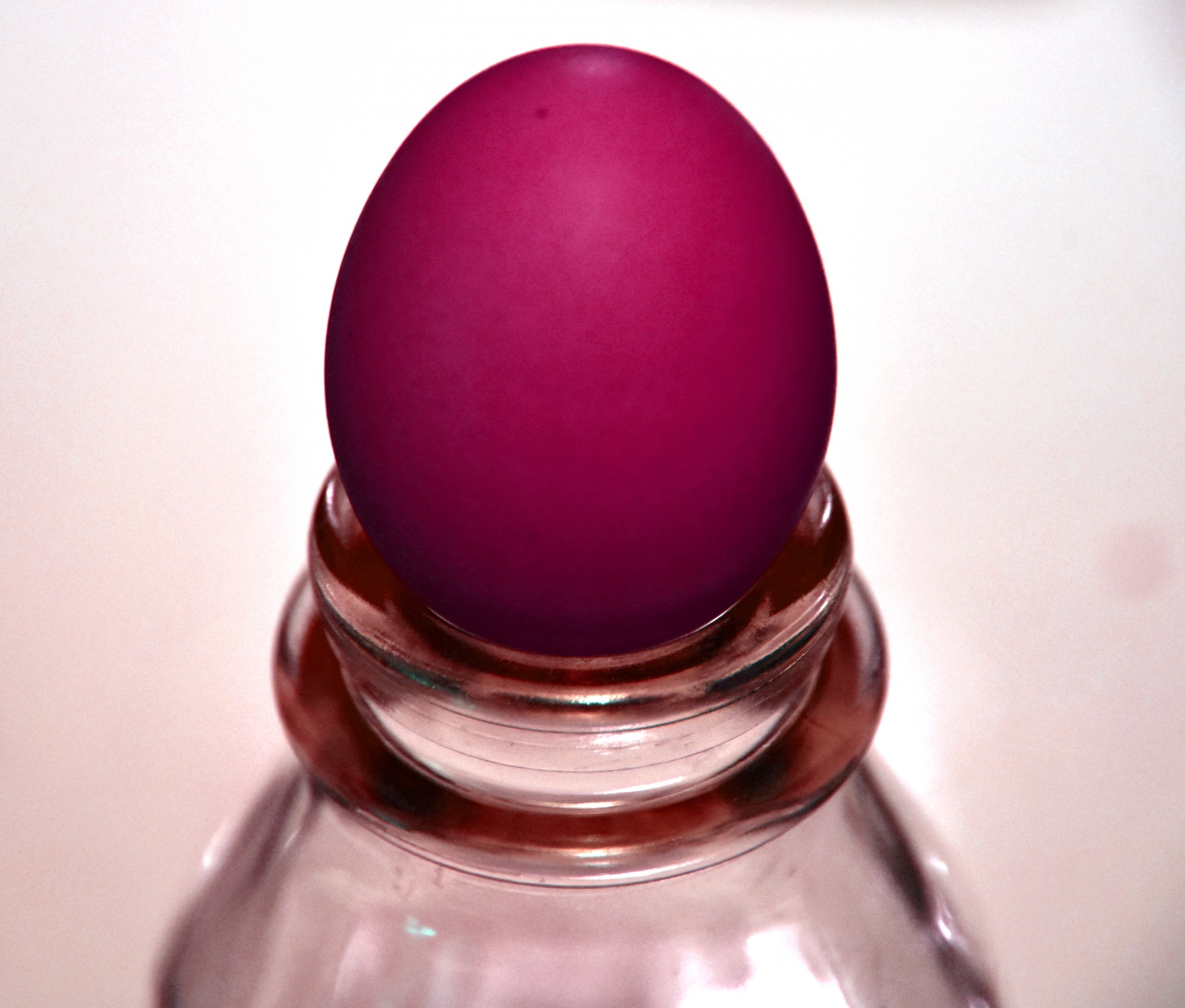 The Pink Egg