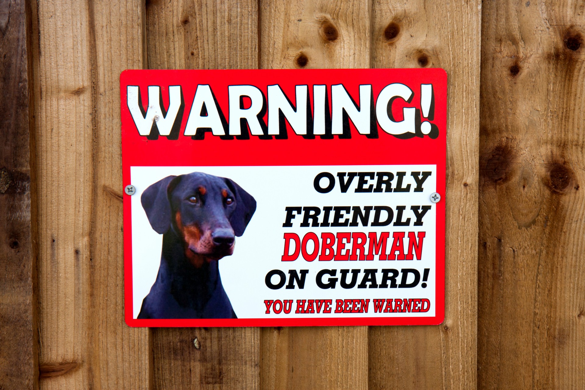 Warning Sign Dog On Guard