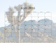 2016 April Monthly Calendar
