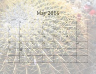 2016 May Monthly Calendar