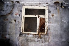 Abandoned Cellar Window