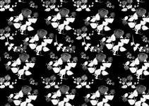 Black And White Rose Background