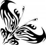 Black Butterfly 3