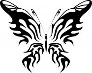 Black Butterfly 6