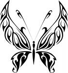 Black Butterfly 9