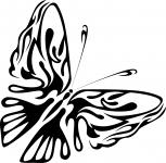 Black Butterfly Shape