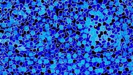 Blue Abstract Circles Wallpaper