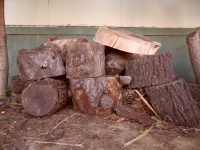 Chopped Up Wood Logs